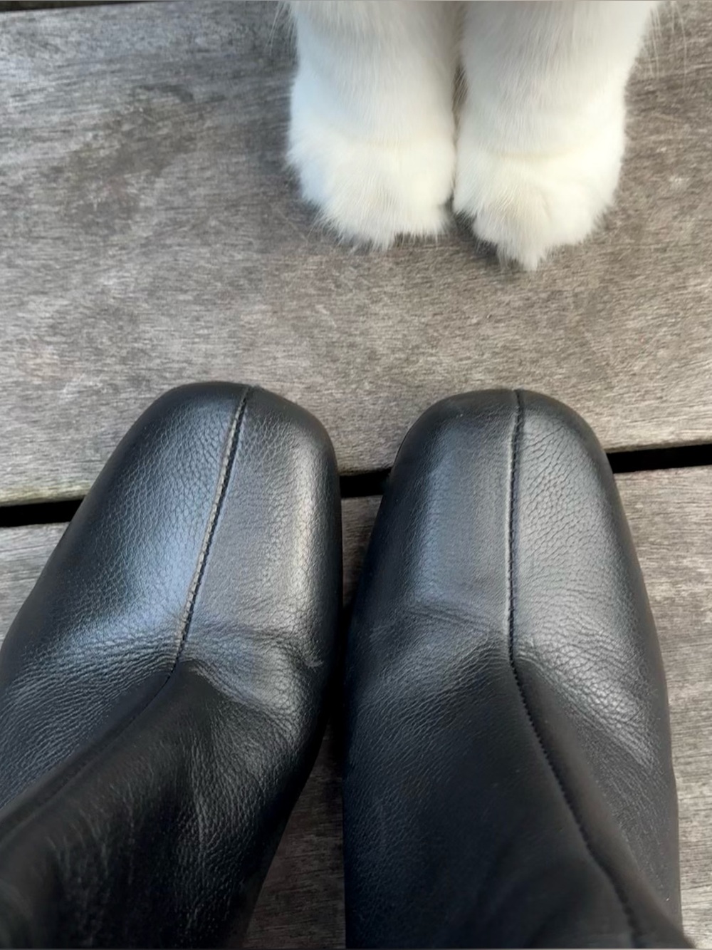 Vince Camuto black leather ankle boots with block heel